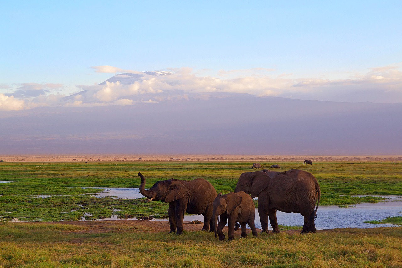 africa-Kilimanjaro