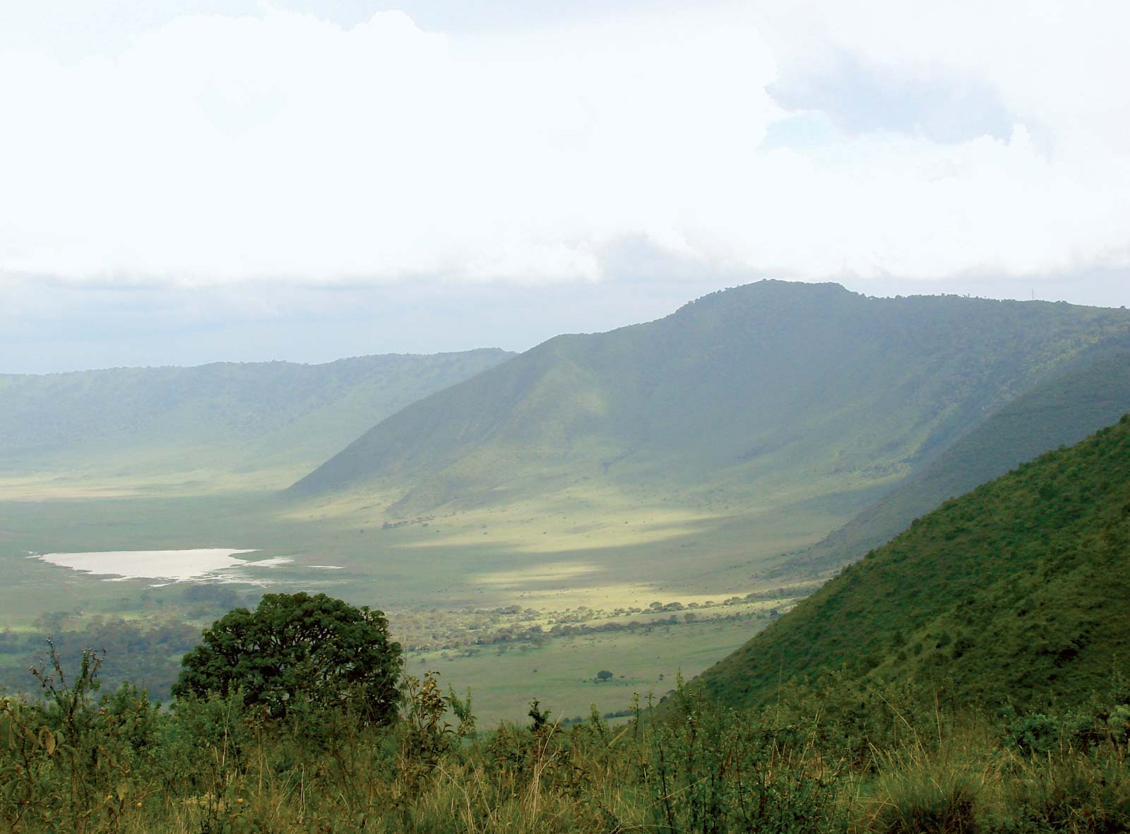 instinct_NGORONGORO7