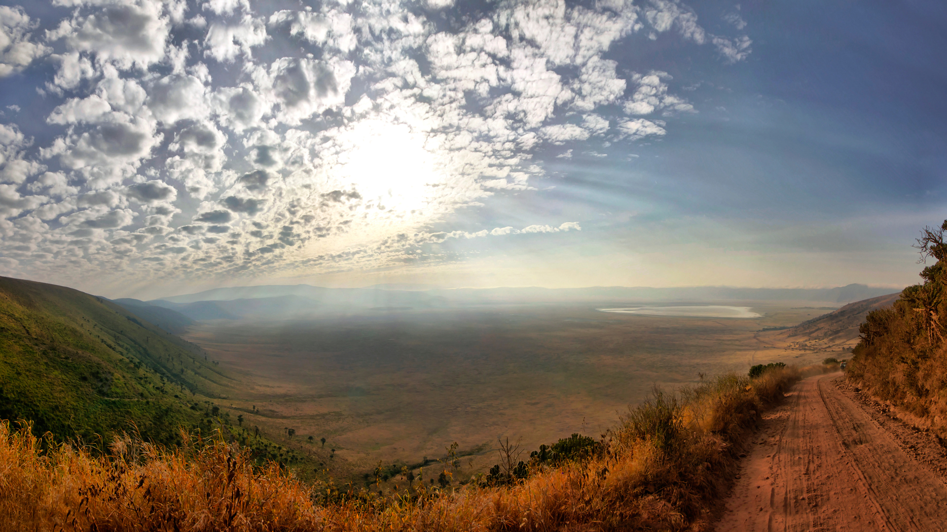 instinct_NGORONGORO8